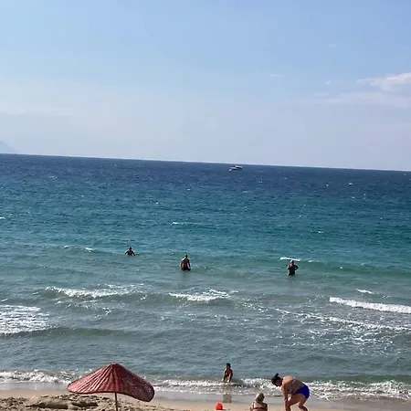 Very At The Sea קוסדסי
